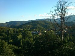 DSC_1184.jpg