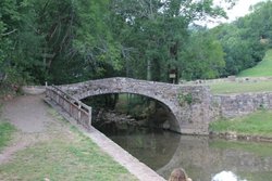 IMG_1393.jpg