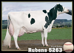 Rubens-5263.jpg