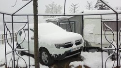 neu 002.jpg