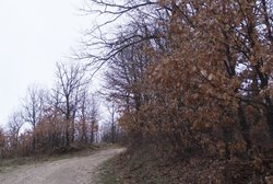 _DSF8556.jpg