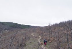 _DSF8559.jpg