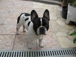 IMG_0115.jpg