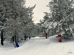 IMG_6108.JPG