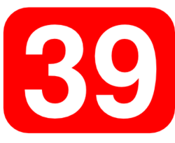 39[1].png