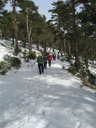 IMG_0011.jpg