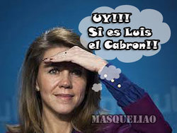 Sorpresa,,,Luis-.jpg