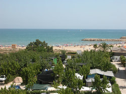 DSCN8814.jpg