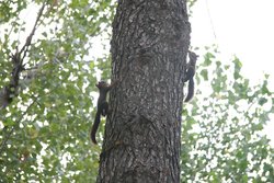IMG_5124.JPG