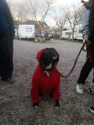 20130309_183810.jpg