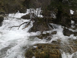 2013-03-30 12.20.27.jpg