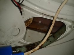 2013-04-06 13.19.13.jpg