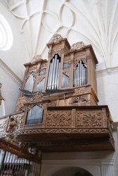 DSC00796.jpg