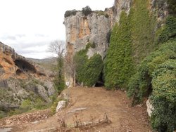 DSCN9031.jpg