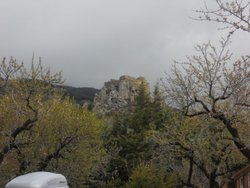 DSCN8939.jpg