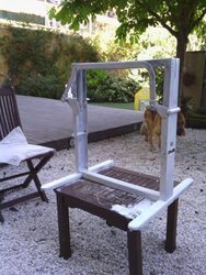 IMG_20130413_164016.jpg