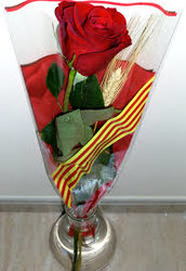Sant Jordi '13.jpg