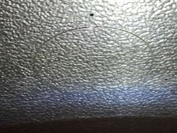 2013-04-21 12.40.13.jpg