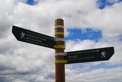 DSC_0064.jpg