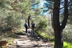 100_0623.jpg