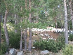 2013-05-04 13.59.25.jpg