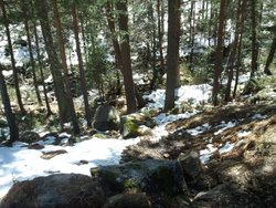 2013-05-04 14.23.18.jpg