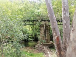 100_1719.jpg