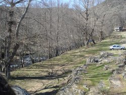DSC02622.jpg