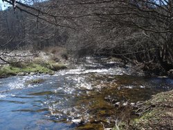 DSC02635.jpg