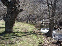 DSC02610.jpg