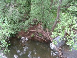 IMG_1601.jpg