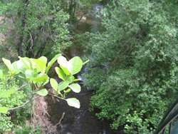IMG_1602.jpg