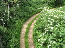 IMG_1603.jpg