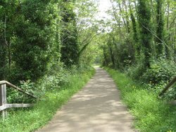 IMG_1604.jpg