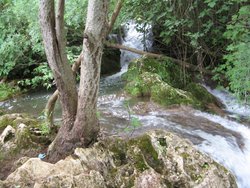 IMG_1611.jpg