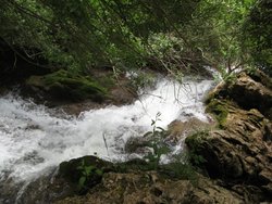IMG_1612.jpg