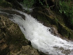 IMG_1613.jpg