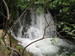 IMG_1621.jpg
