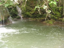 IMG_1622.jpg