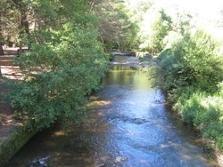 IMG_1626.jpg