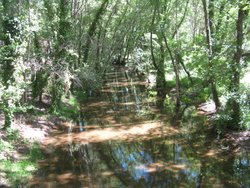 IMG_1635.jpg
