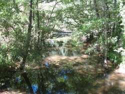 IMG_1636.jpg