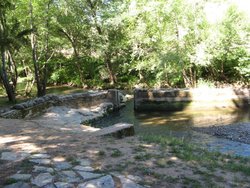 IMG_1637.jpg