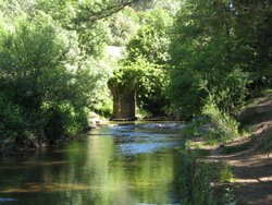 IMG_1639.jpg