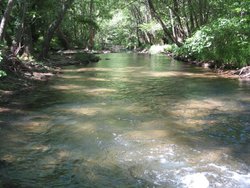 IMG_1641.jpg