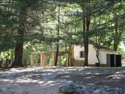 IMG_1642.jpg