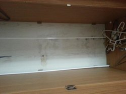 20130513_164419.jpg