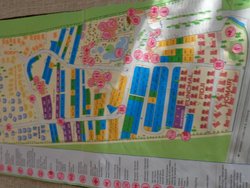 DSC01570.jpg