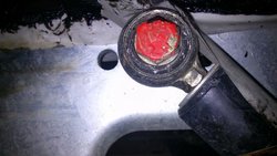 amortiguaresized_DSC_0640.jpg