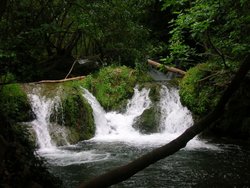 DSCN1739.jpg